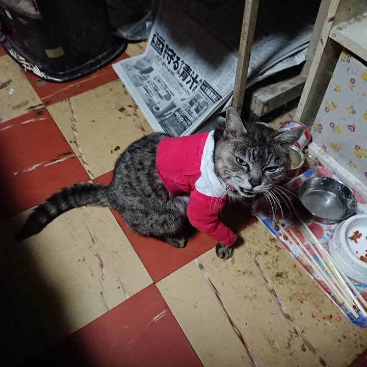 7669b13d 76ec 48a2 8629 445663b23852 1586635579413