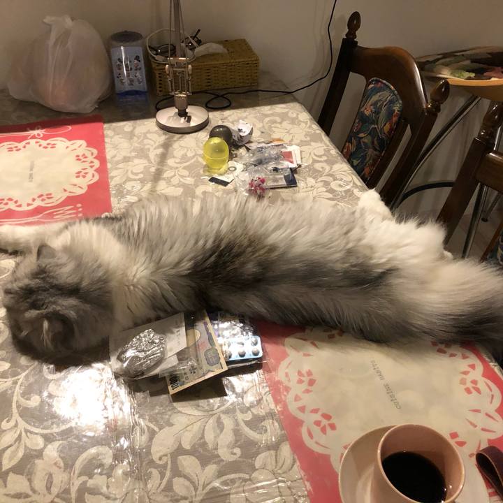 7669c017 e428 4134 bb93 869e0652612c 1629117101241