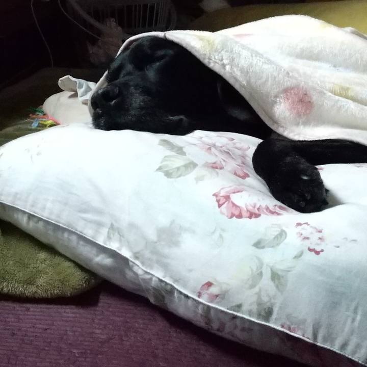 7669cbbb 9849 475f a4ed 70e40f3e3804 1705724376507