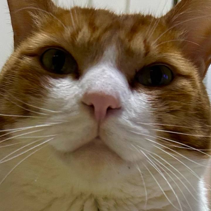 7669d62c 50f1 48c3 a3ea b71d802cda54 1765371067294