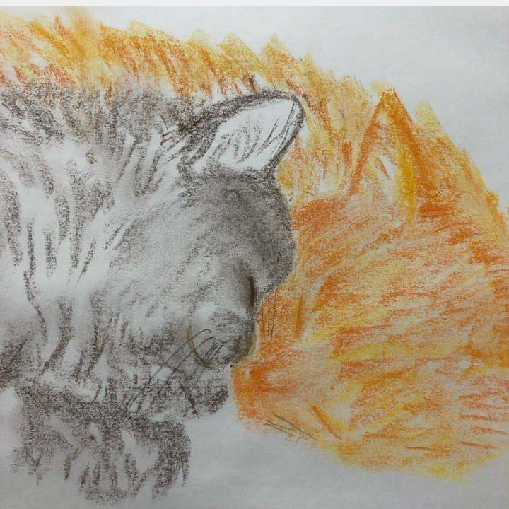 7669f5ae 656d 45c1 8c0b 25ded8708284 1586581910700