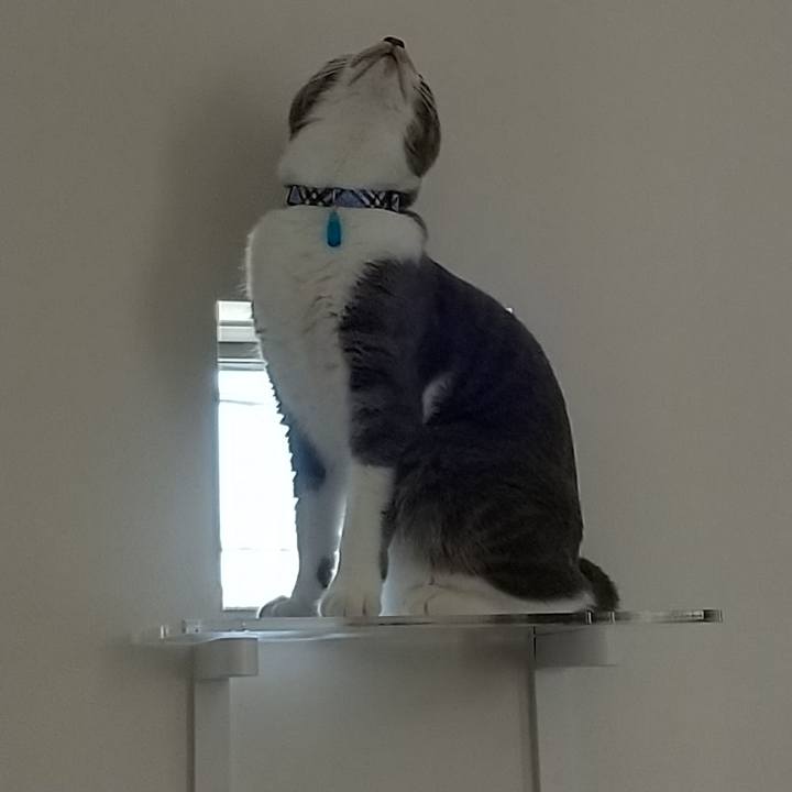 766a30d4 711e 4630 b0dc 61d457252ad1 1599530534231