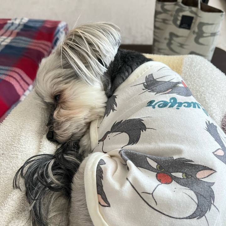 766a6490 1fec 4a9b 9845 92ae459c412e 1772890268156