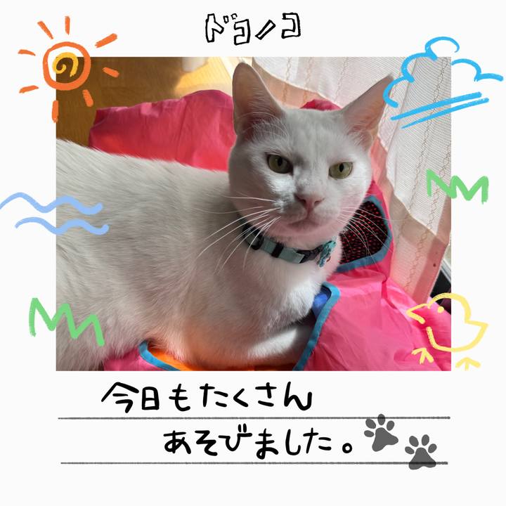 766a74f4 7fa7 42f0 9cda 0a2b99547a51 1755352716589