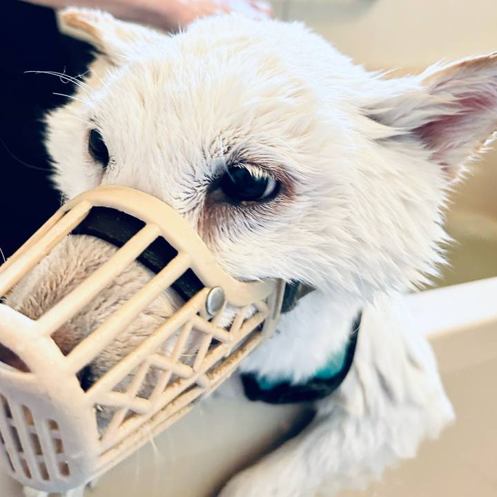 766ad073 d624 4d25 8cdb 264f8c4c2f32 1747093642304