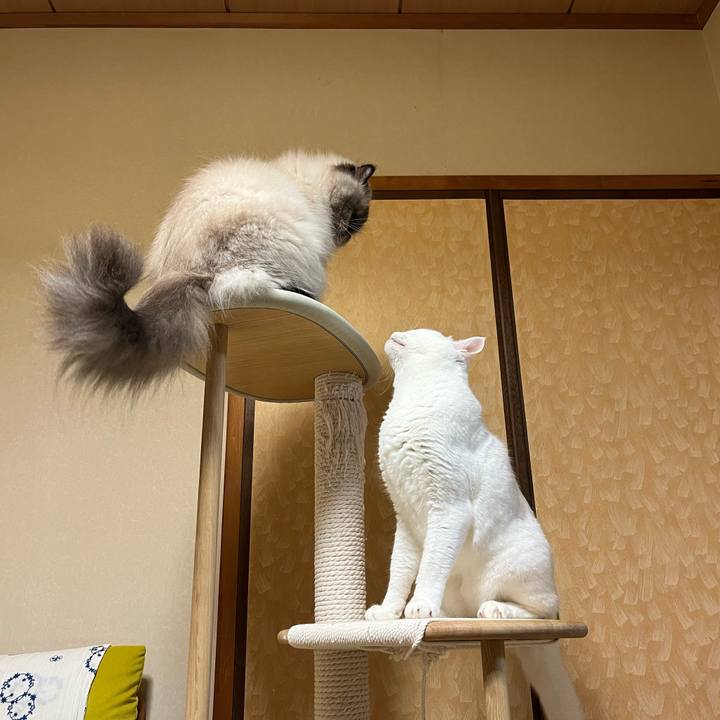 766b379a 65bf 42b1 bf10 8196827ad70c 1728393590305