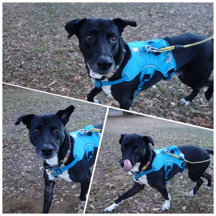 766b53a5 09d8 430a 972c 51424537a11a 1608939789891