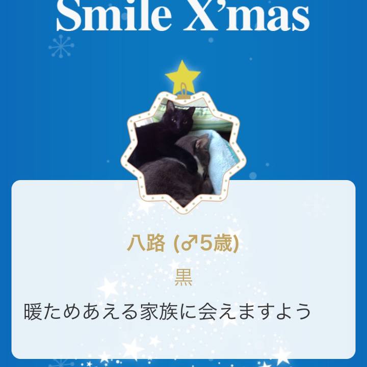 766b7546 c06b 4958 9a6c d3ba1e34797c 1544699342276