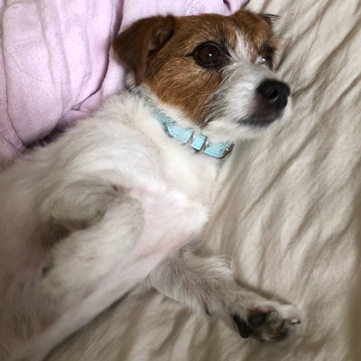 766bc348 b7fa 47c6 a7d4 aa6a3ed0173f 1534632038927