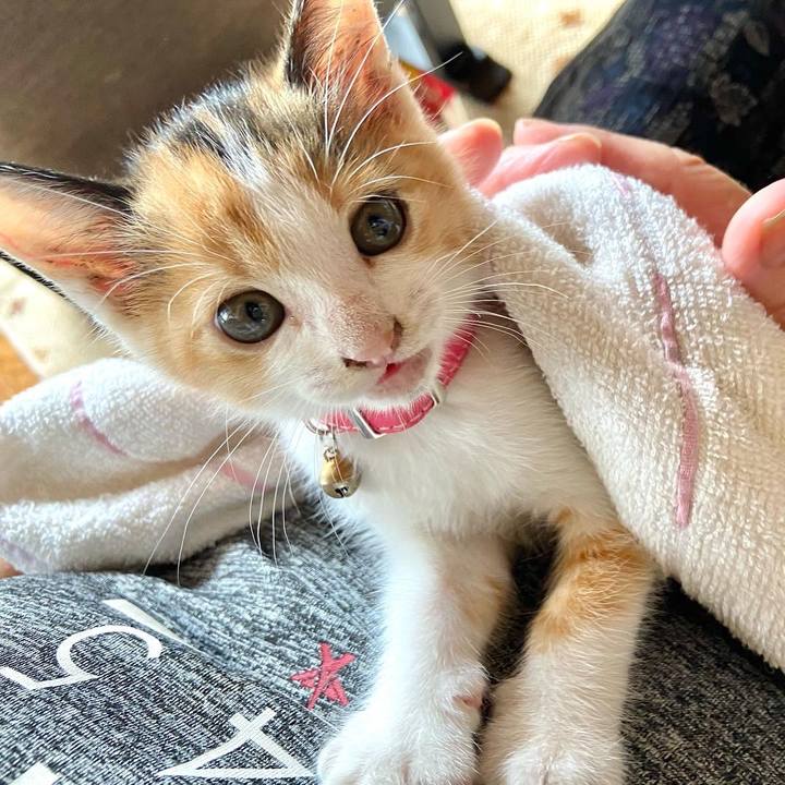 766bd727 3440 4942 aa5f 81fc6f27aa08 1629431999550