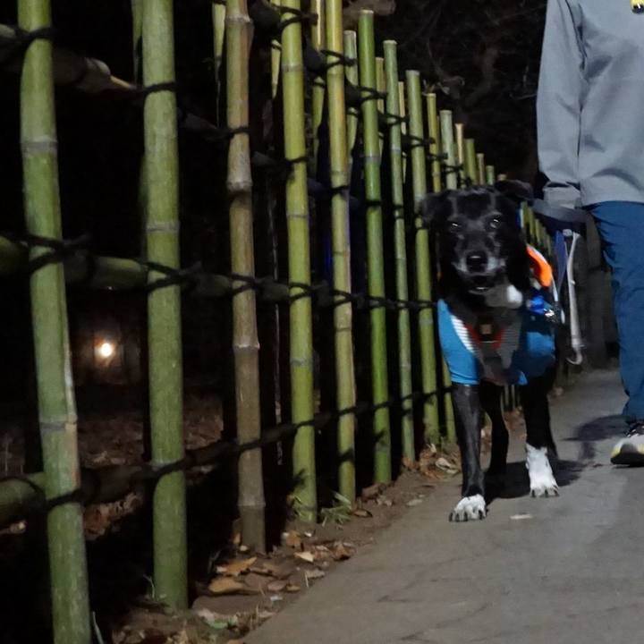 766c07ab e06d 4268 9de9 b4c635bfe292 1768302400878