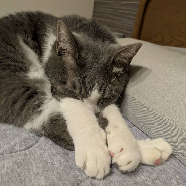 766c0efc f06a 42d6 b513 7f544e6bc3a3 1759843389828