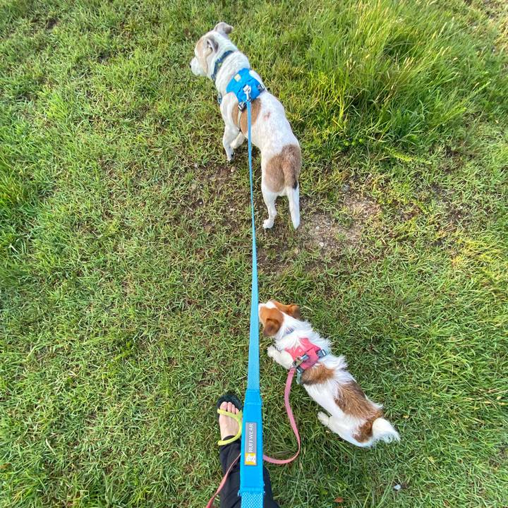 766c38f2 8219 47f7 ae67 1391bf76ed8a 1718054053304