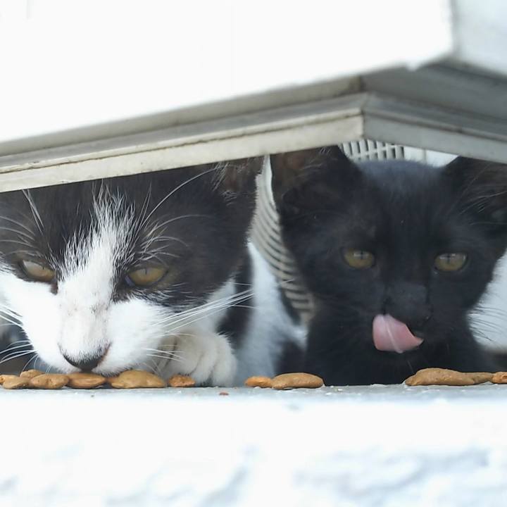 766c5b3c 2058 4417 9a5d 563fe3160893 1533090407254