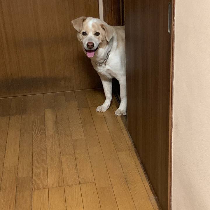 766c6583 6c45 408a aaea b7da6c6706b7 1561804689664