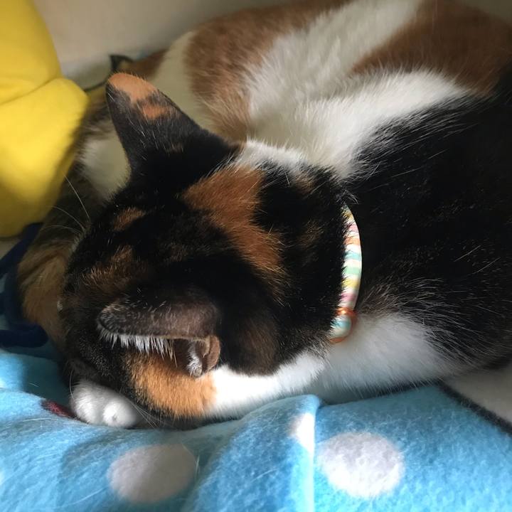 766c76c1 bff4 4086 a520 df6cce33c959 1589380287555