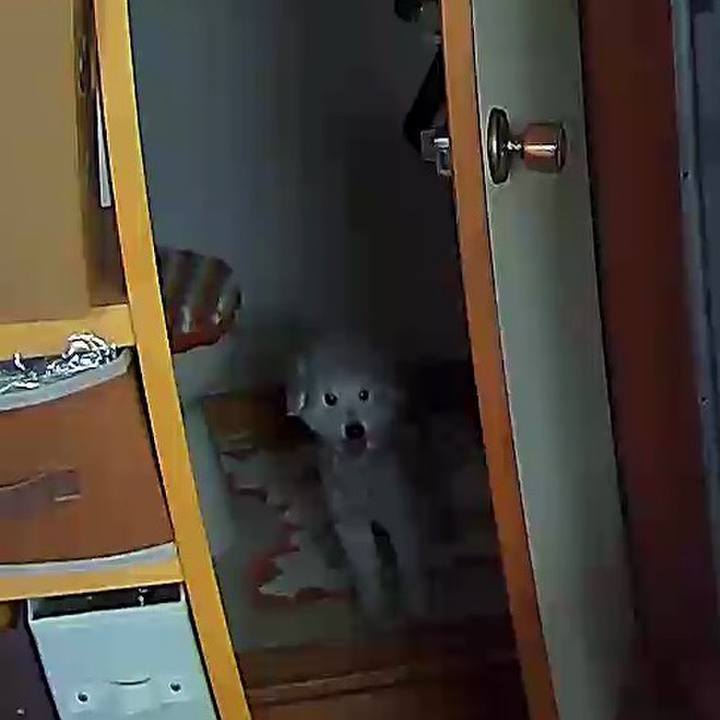 766ca8dc 8582 4e8c 8ca5 6b562d21409d 1624508395543