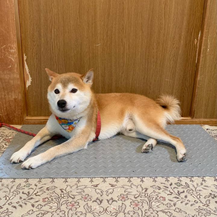 766cb80f 1837 4461 a2fb e551d241589b 1626863241655