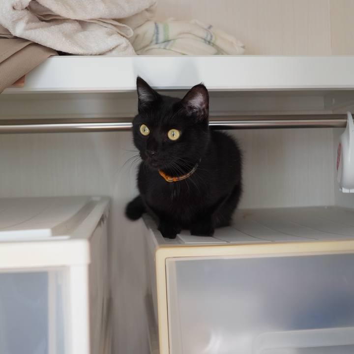 766cd42a b391 44d8 ae99 17b885dcc7ba 1605450217659