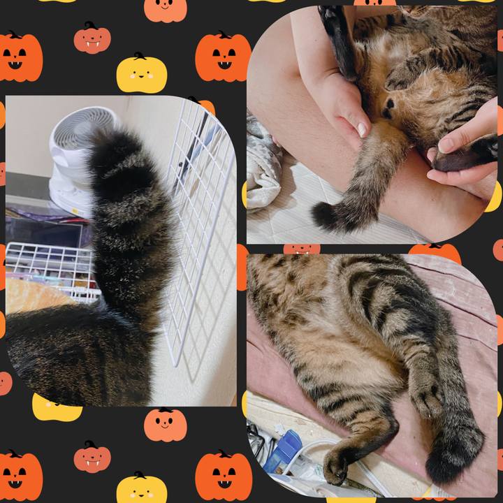 766cd504 9594 4ca1 8398 a8229cfafaf9 1602305482702