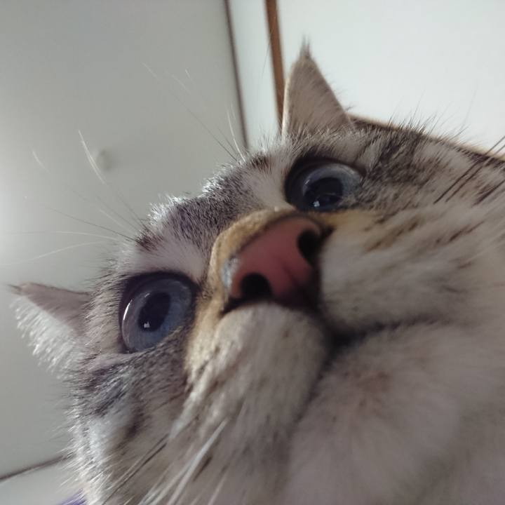 766d0d5d 12dc 40bb 9665 89be4648e81d 1587047292377