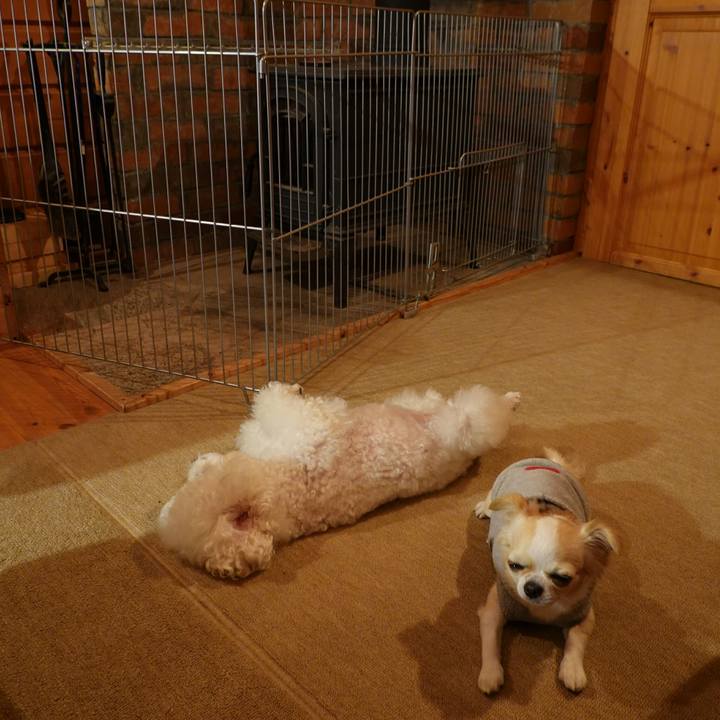 766d5190 1277 4d59 a1ff dc8a1cac93f1 1541866142794