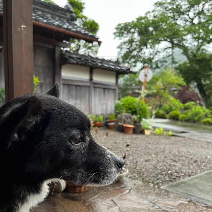 766ddc37 0369 4029 978f 68c2aedc0a97 1685362034652