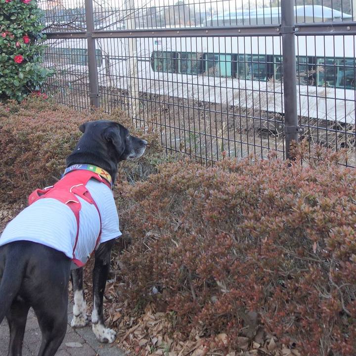 766ddcc7 06bd 4287 afd8 92b2651c8857 1674004944113