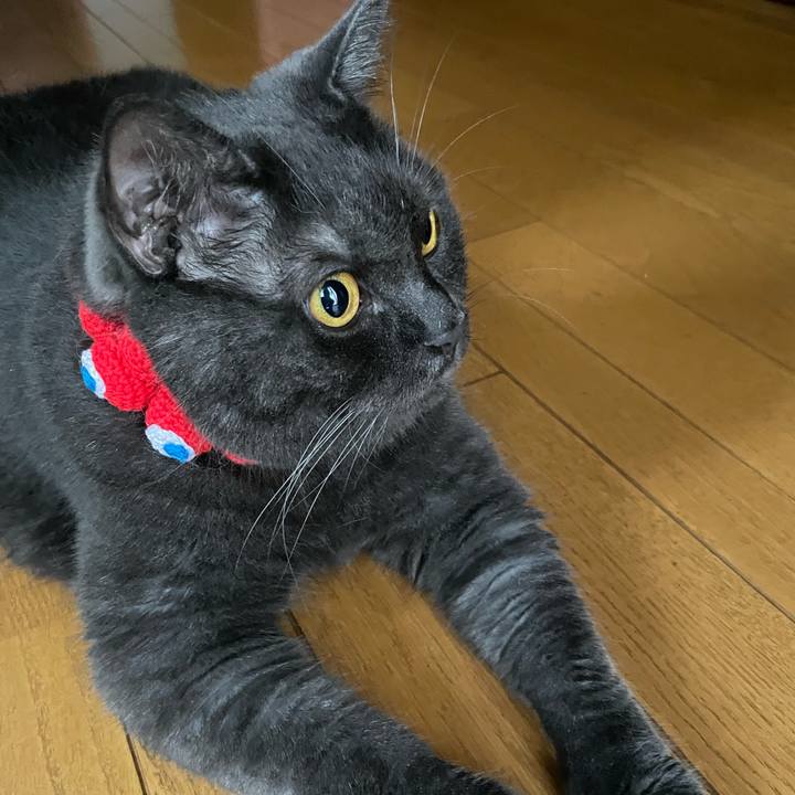 766df7bd a12a 422c 9370 b9a2ceb3b918 1754873082578