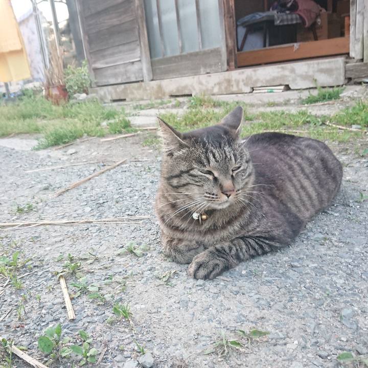 766e3f11 d9be 4641 8da1 8a0e68c4ef83 1653471146222