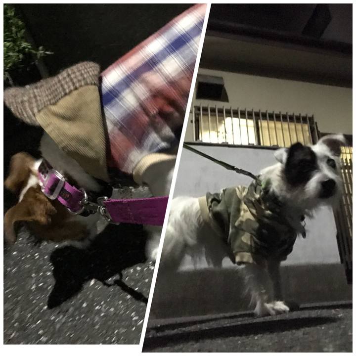 766e734e 52ae 4008 a965 3e32f4d908ac 1509019268280