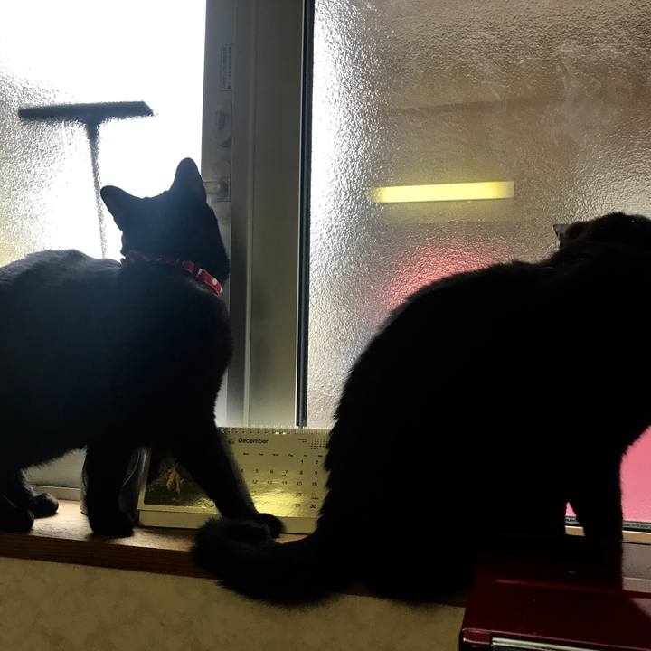 766e774f b837 4576 9e90 4e2d3b17206c 1514507596698