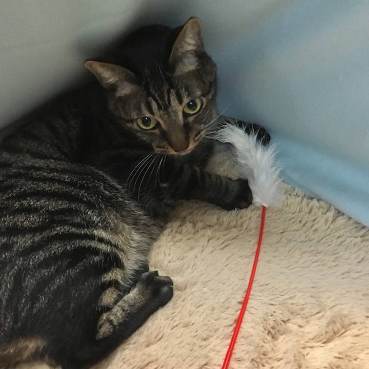 766e9470 895a 4417 b7fc 67a17da9b68b 1509098636646