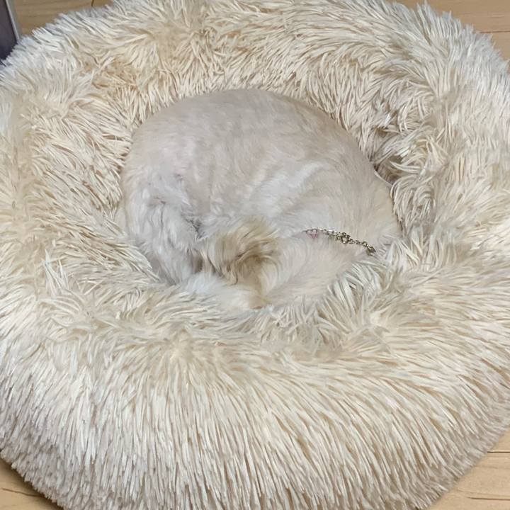 766e98d5 fb81 45ad 9db9 6ca068fbe9de 1650023364281