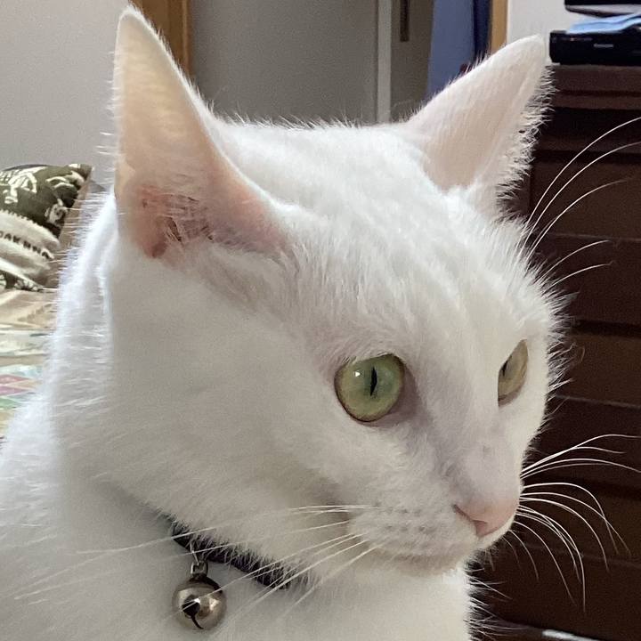 766ec8aa 1554 4b6e 9ef0 9098843d1166 1665184255855