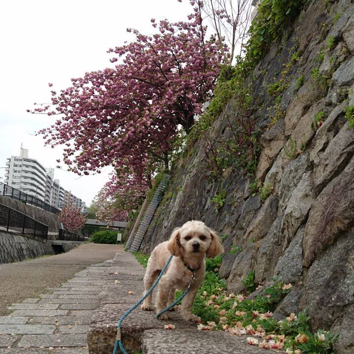 766f09d0 c3c6 46d6 87b2 a9c07b335cba 1555821559197