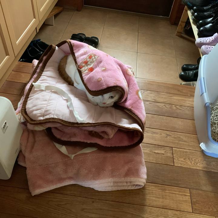 766f146d 3f19 4b13 95ab b3ab6be11596 1607177420626