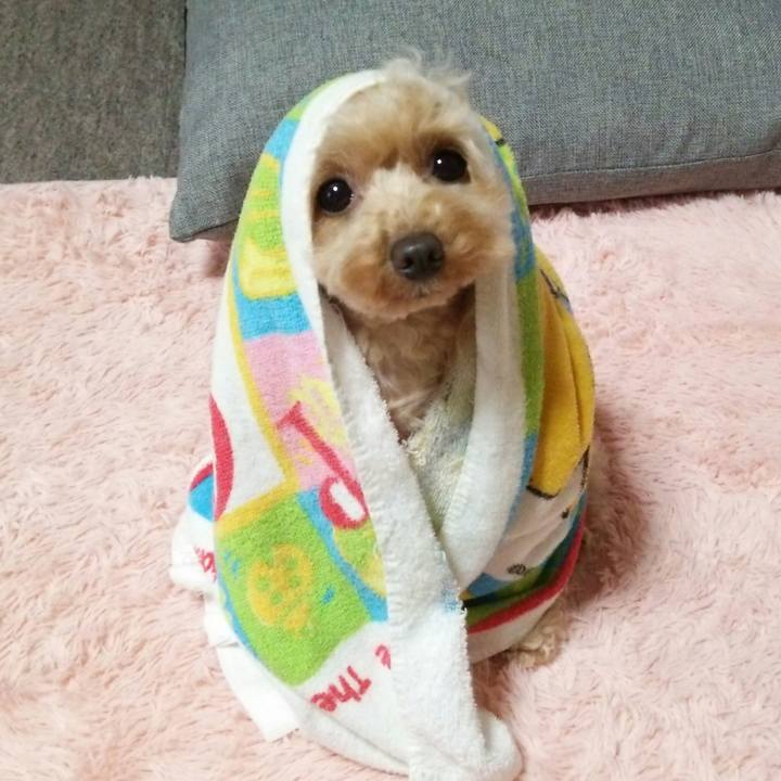 766f1f43 fb36 4136 9afe 4b8cae853f91 1549442421715