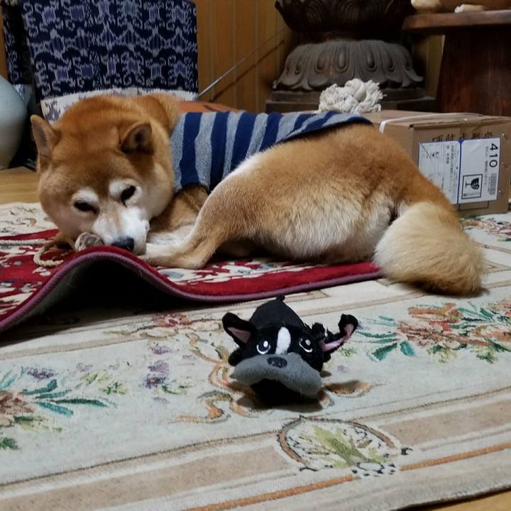 766f2297 94c1 47b6 874b 239c195c3ee2 1511262267209