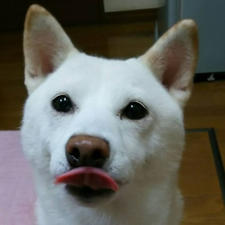 766f361a b3e9 4924 9c32 e1d516b9d060 1539220608808