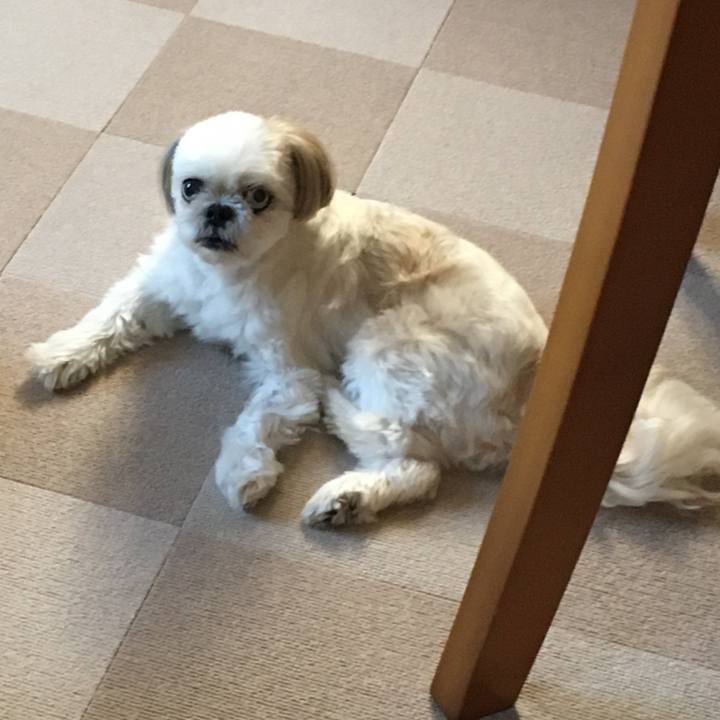 766f384c 6cc2 42dd acbf bd7628a0e239 1598439599759