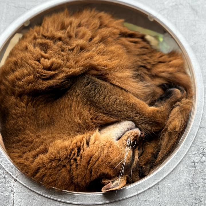 766f5ada b242 46b1 ad26 0b37e7bc135a 1758327143705