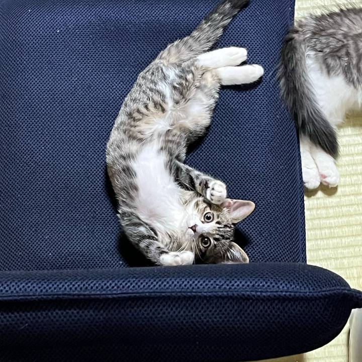 766f5c0a 0c65 4e6c ac78 e05d1d884305 1688686920942