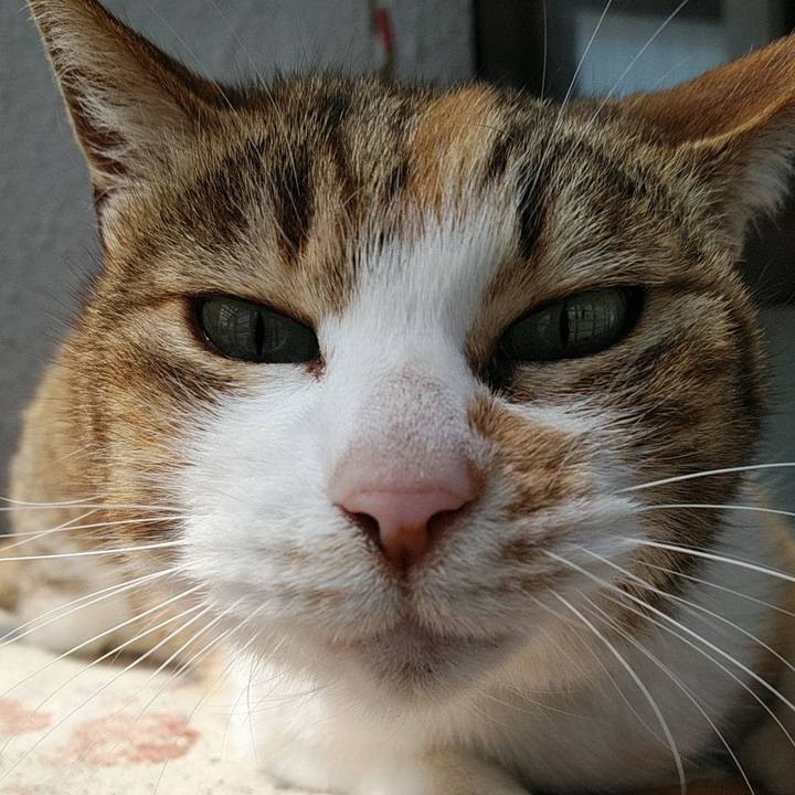 766f5ff6 1ae8 4d52 b580 8b371618e7b9 1761268573881