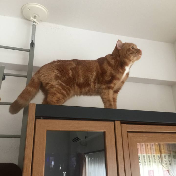 766f69b2 b562 48a5 8012 1c5040ab0678 1531261921368