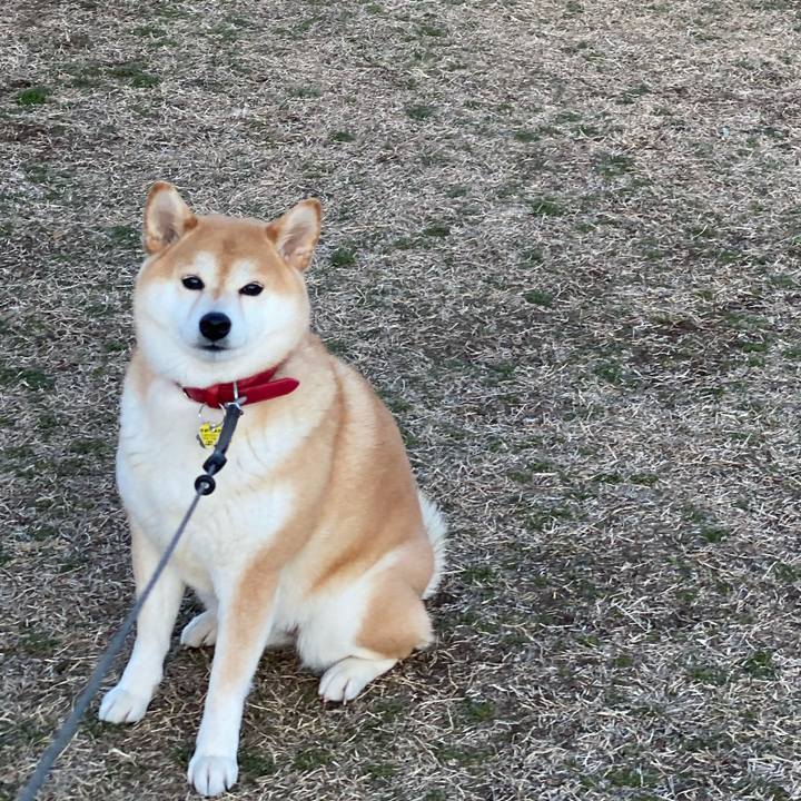 766f6a05 fc02 491f 8634 2ed61af4434e 1581514824450