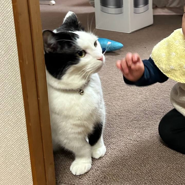 766f797d c6b1 49c7 90f4 f33043164a7f 1767657637248