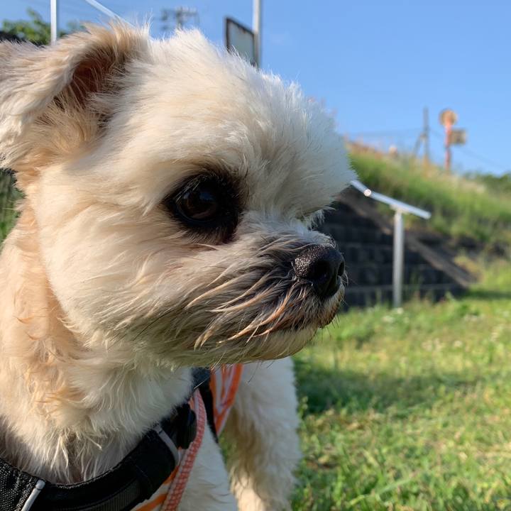 766f80d3 7f3e 43e4 b159 396270522ea1 1589205617158