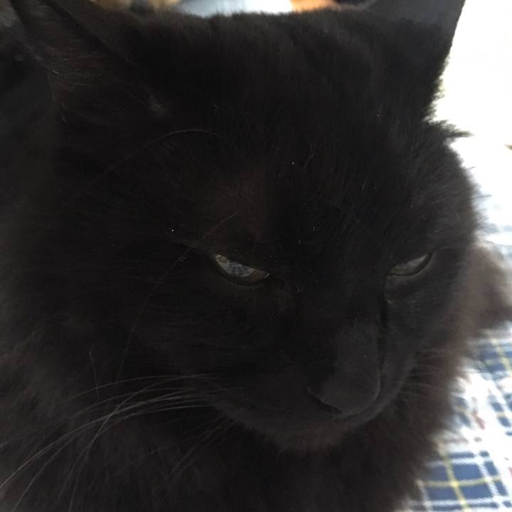 766fa7aa df1a 4ebc abc3 5d20c7a1e61b 1513637929717