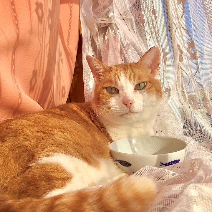 766fb2ea 03fe 4abf 8cac 22f2e3ac1783 1583315544436